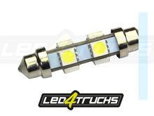 XENON BIANCO - 6xSMD LED 24-28V - FESTOONE